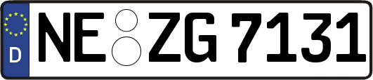 NE-ZG7131