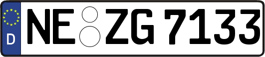 NE-ZG7133