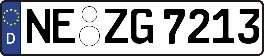 NE-ZG7213