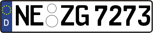 NE-ZG7273