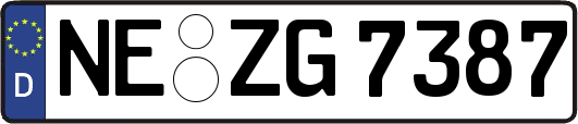 NE-ZG7387