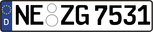 NE-ZG7531