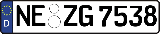 NE-ZG7538