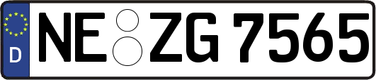 NE-ZG7565