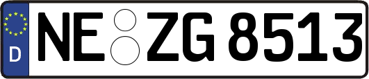NE-ZG8513