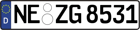 NE-ZG8531