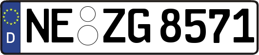 NE-ZG8571