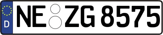 NE-ZG8575