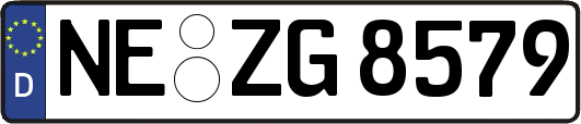 NE-ZG8579
