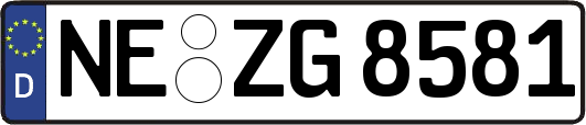 NE-ZG8581
