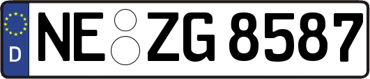 NE-ZG8587