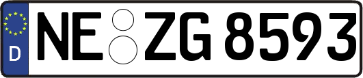 NE-ZG8593