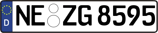 NE-ZG8595