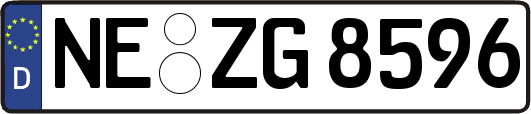 NE-ZG8596