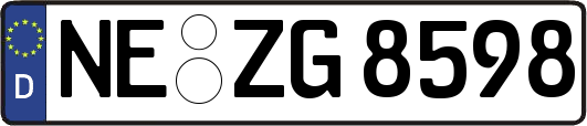 NE-ZG8598