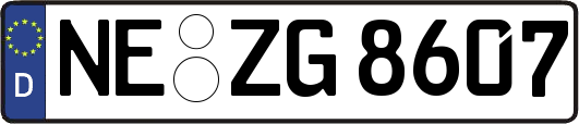 NE-ZG8607