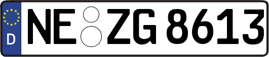NE-ZG8613
