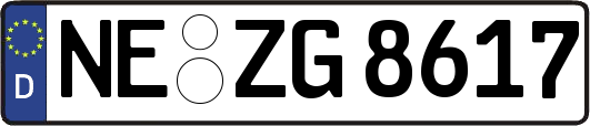 NE-ZG8617