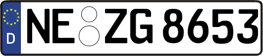 NE-ZG8653