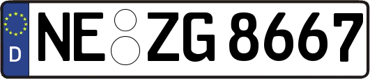 NE-ZG8667
