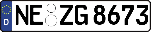 NE-ZG8673