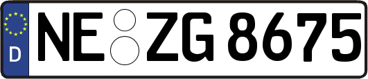 NE-ZG8675