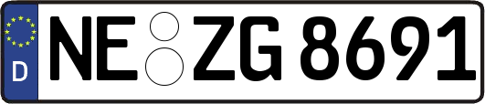NE-ZG8691