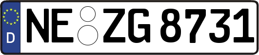 NE-ZG8731