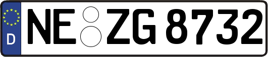 NE-ZG8732