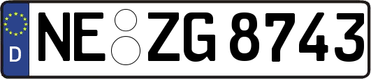 NE-ZG8743