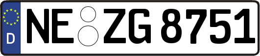 NE-ZG8751