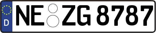 NE-ZG8787