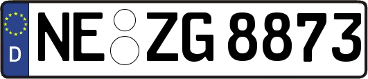 NE-ZG8873
