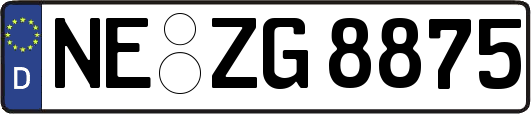 NE-ZG8875