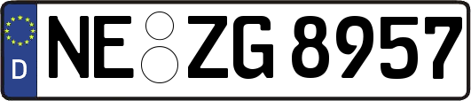 NE-ZG8957