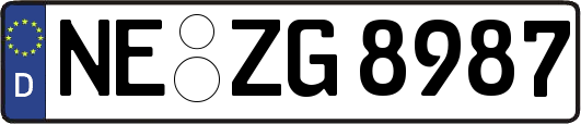 NE-ZG8987