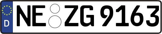 NE-ZG9163