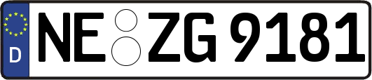 NE-ZG9181