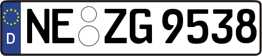 NE-ZG9538