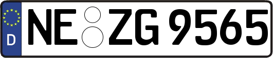 NE-ZG9565