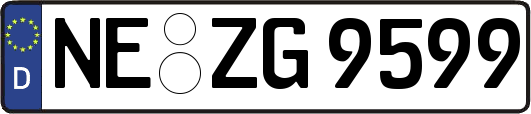 NE-ZG9599