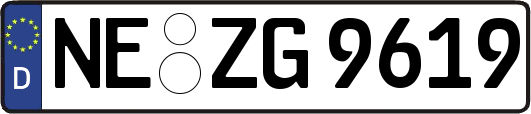 NE-ZG9619