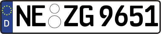 NE-ZG9651