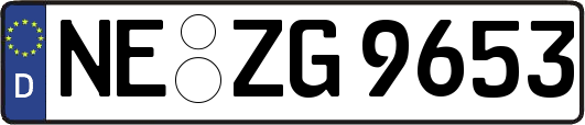 NE-ZG9653