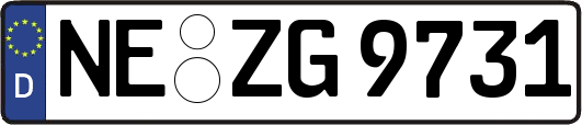 NE-ZG9731