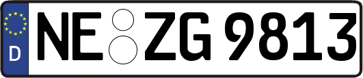 NE-ZG9813