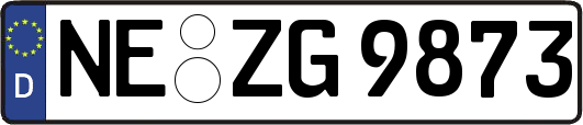 NE-ZG9873