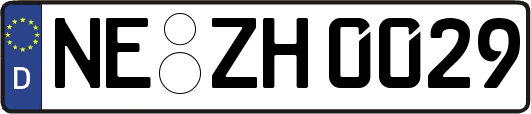 NE-ZH0029