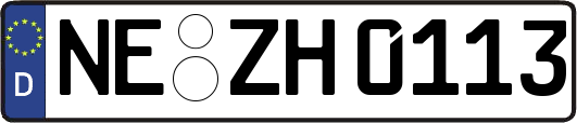NE-ZH0113