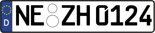 NE-ZH0124